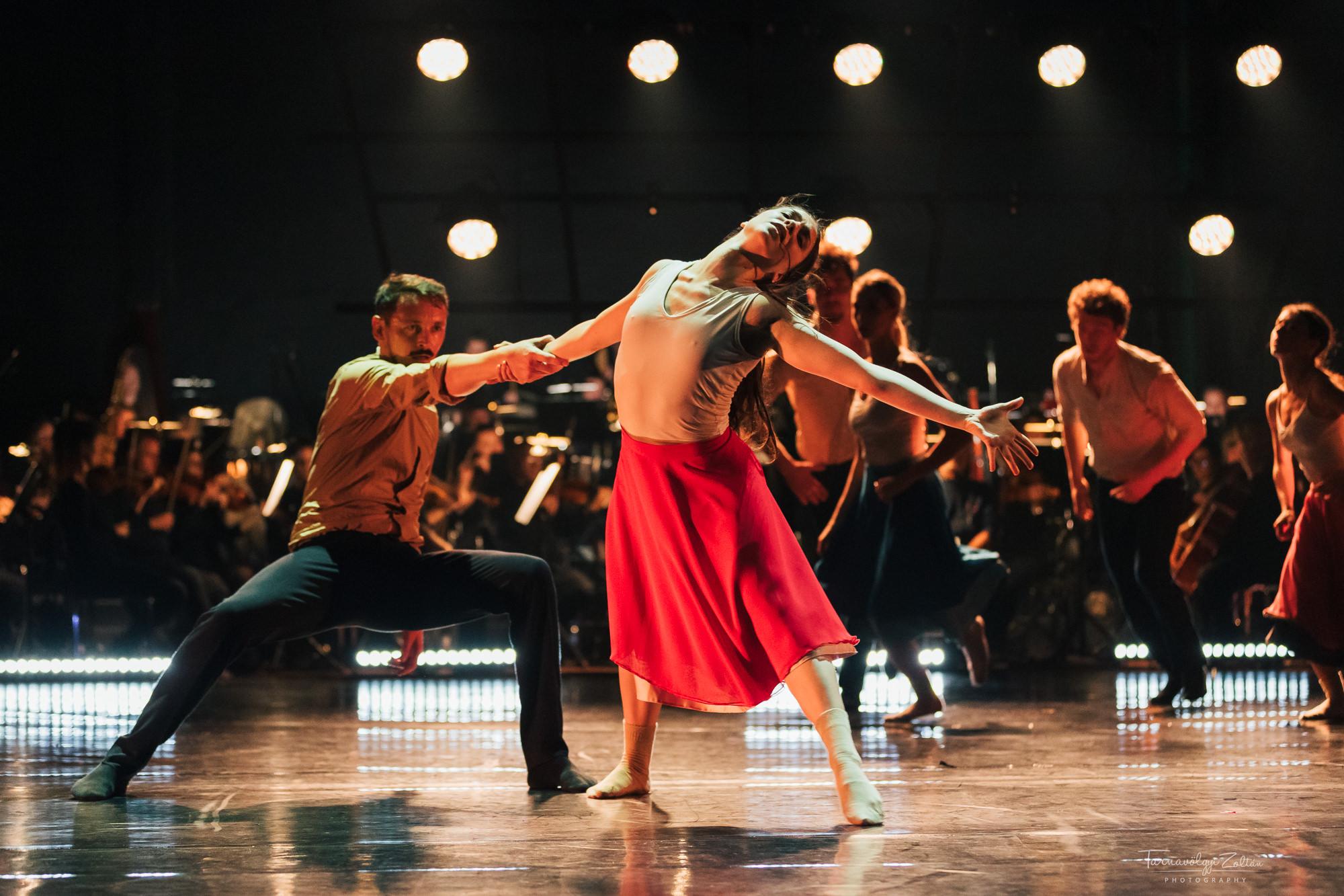 Lánglelkű fotógaléria képe 4 Lánglelkű fotógaléria képe 4