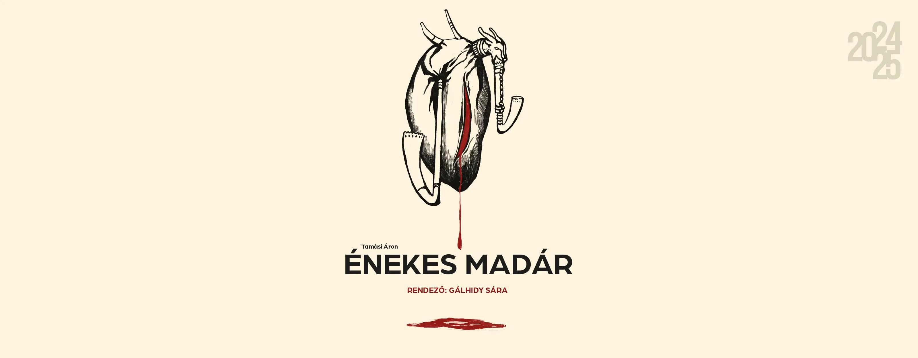 Énekes madár program képe Énekes madár program képe